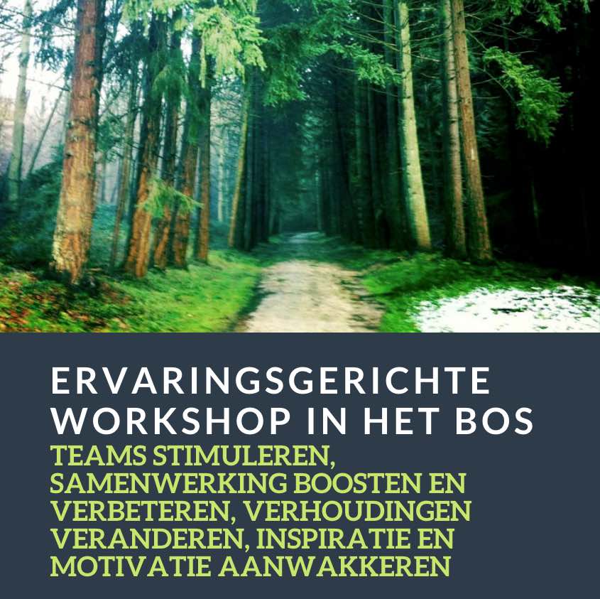 ervaringsgerichte-workshop-bos ervaringsgerichte-workshop-bos